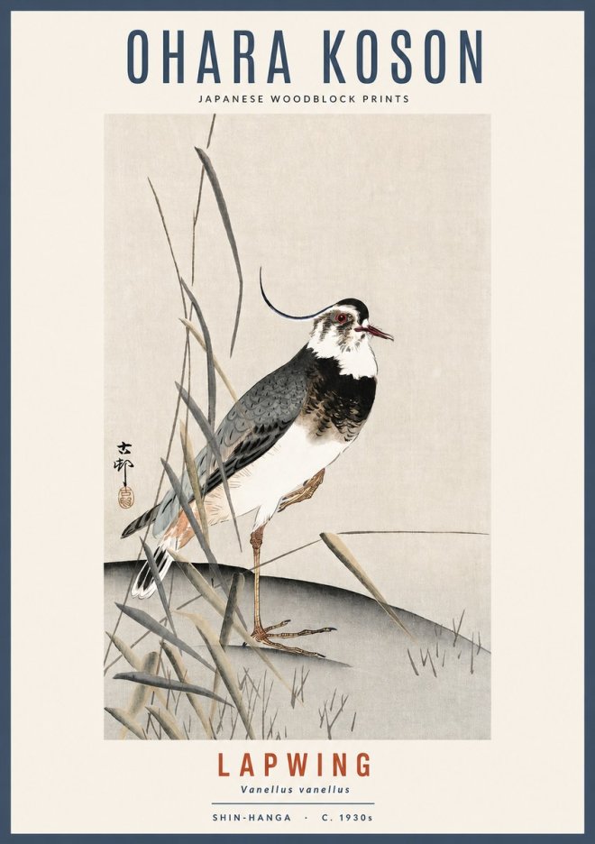 Ohara Koson Lapwing No2 - Affiche
