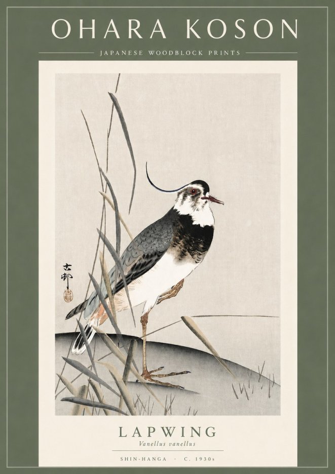 Ohara Koson Lapwing No3 - Affiche