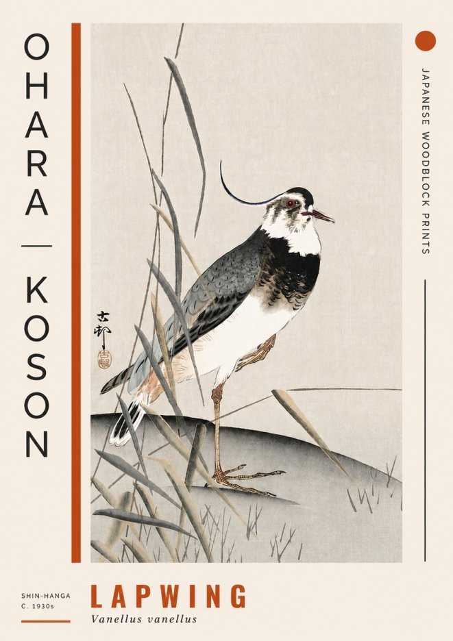 Ohara Koson Lapwing No4 - Affiche