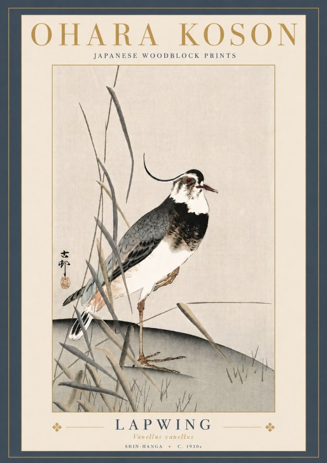Ohara Koson Lapwing No5 - Affiche