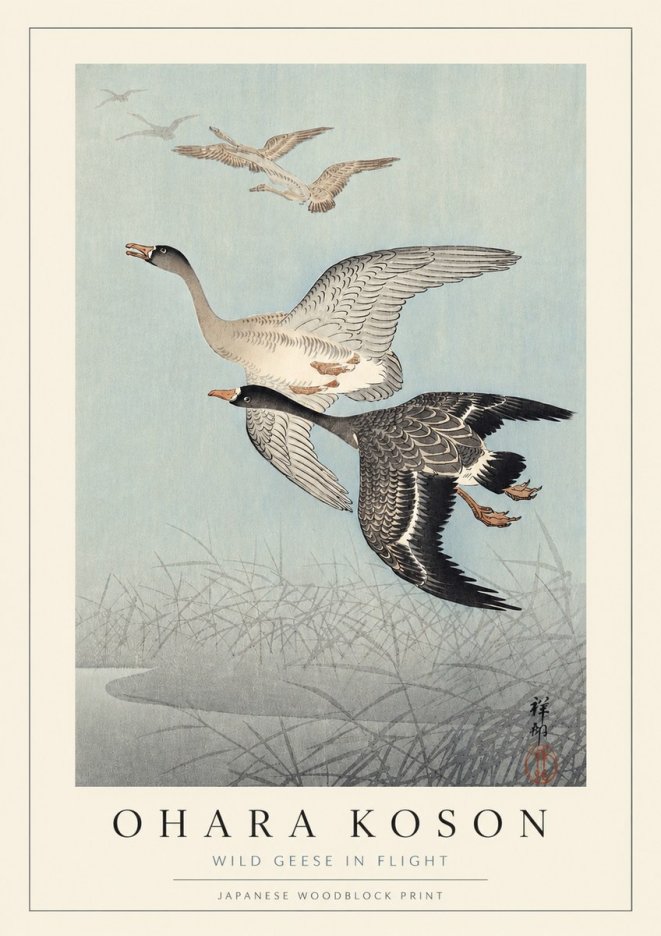 Ohara Koson Wild Geese in Flight II No3 - Affiche