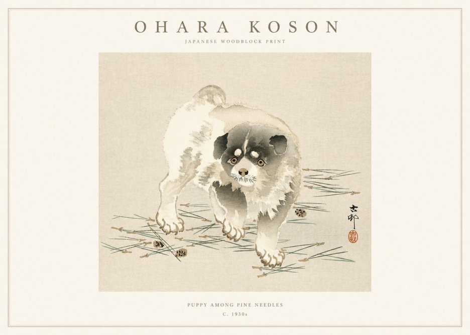 Ohara Koson Puppy Among Pine Needles No1 - Affiche