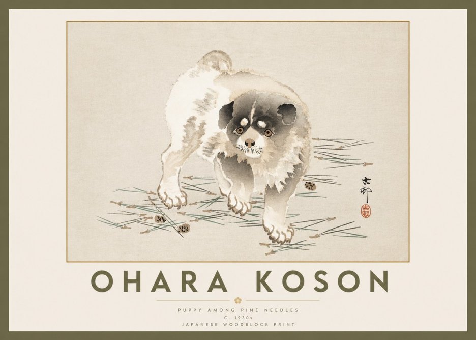 Ohara Koson Puppy Among Pine Needles No2 - Affiche