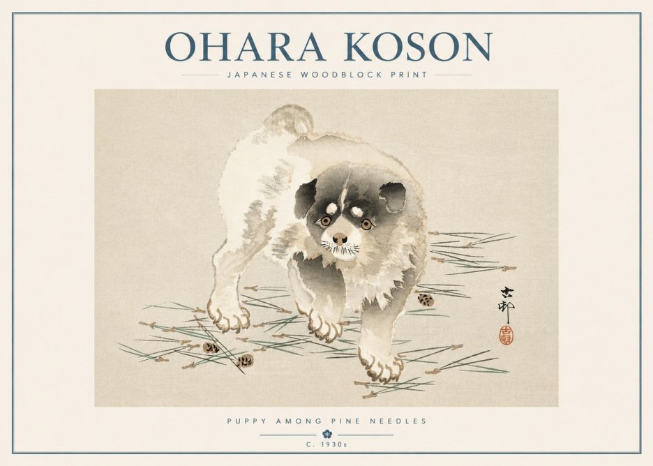 Ohara Koson Puppy Among Pine Needles No5 - Affiche