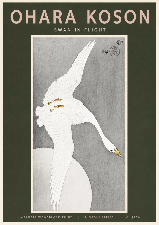 Ohara Koson Swan in Flight No2 - Affiche