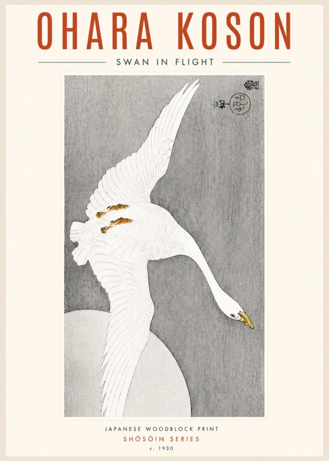 Ohara Koson Swan in Flight No4 - Affiche