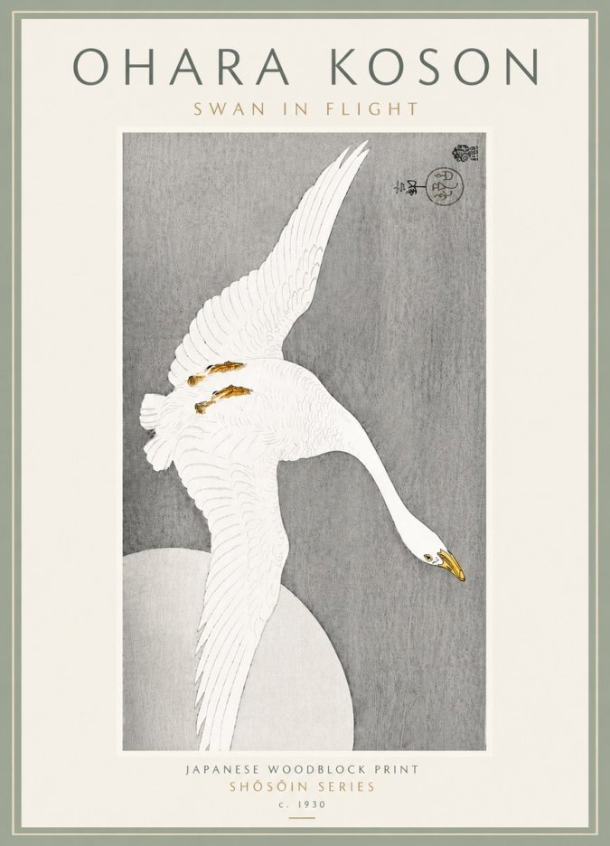 Ohara Koson Swan in Flight No6 - Affiche