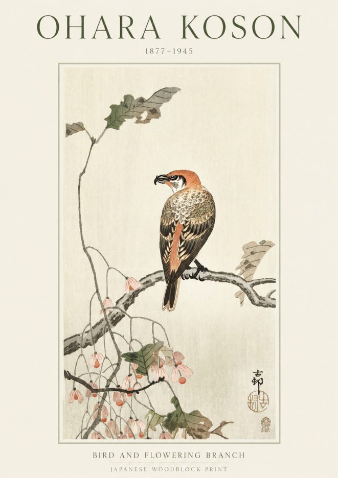 Ohara Koson Bird and Flowering Branch No1 - Affiche