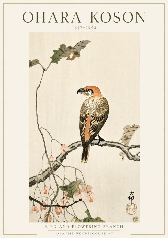 Ohara Koson Bird and Flowering Branch No5 - Affiche