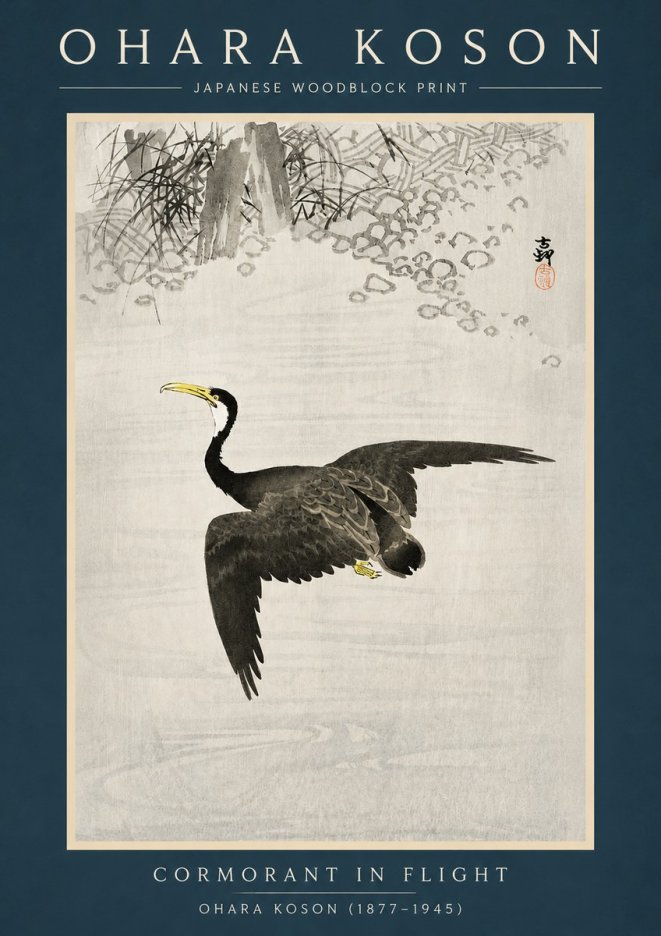 Ohara Koson Cormorant in Flight No2 - Affiche