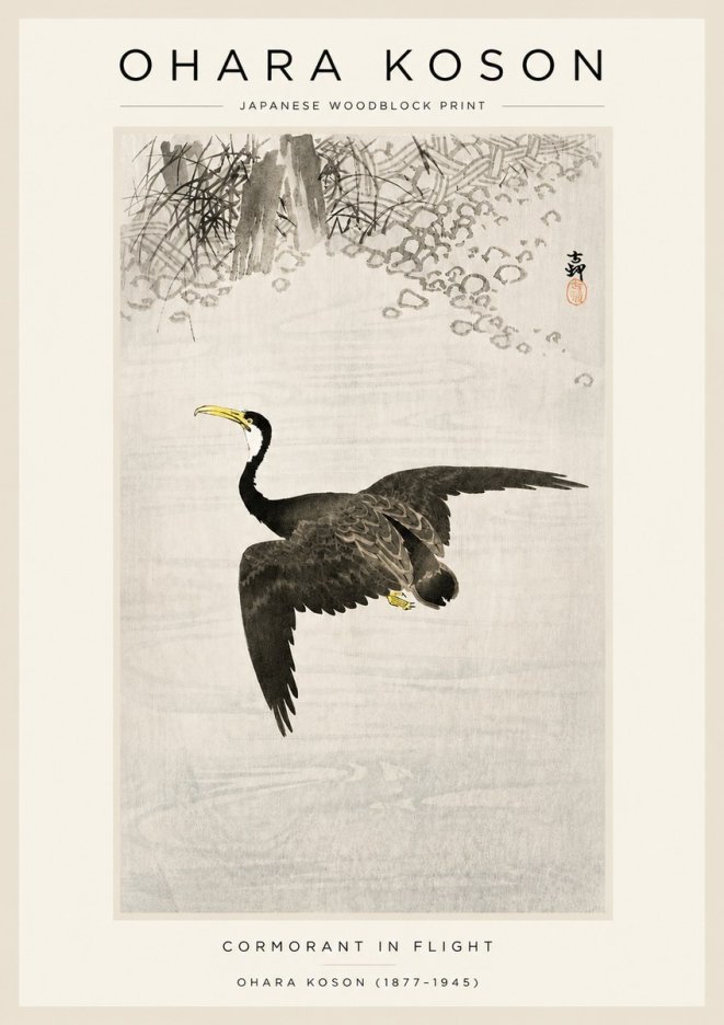Ohara Koson Cormorant in Flight No3 - Affiche