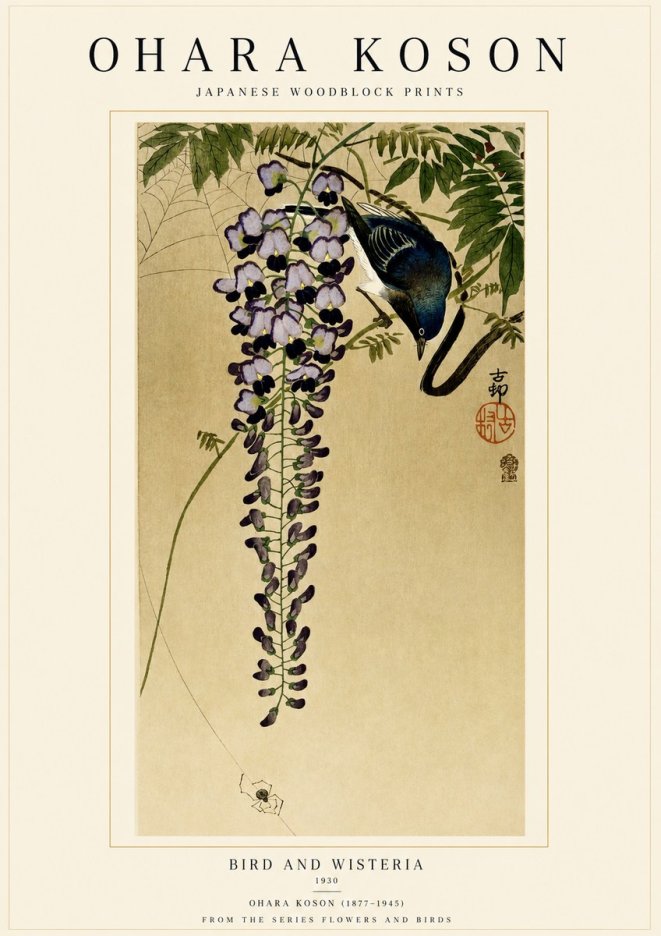 Ohara Koson Bird and Wisteria No1 - Affiche