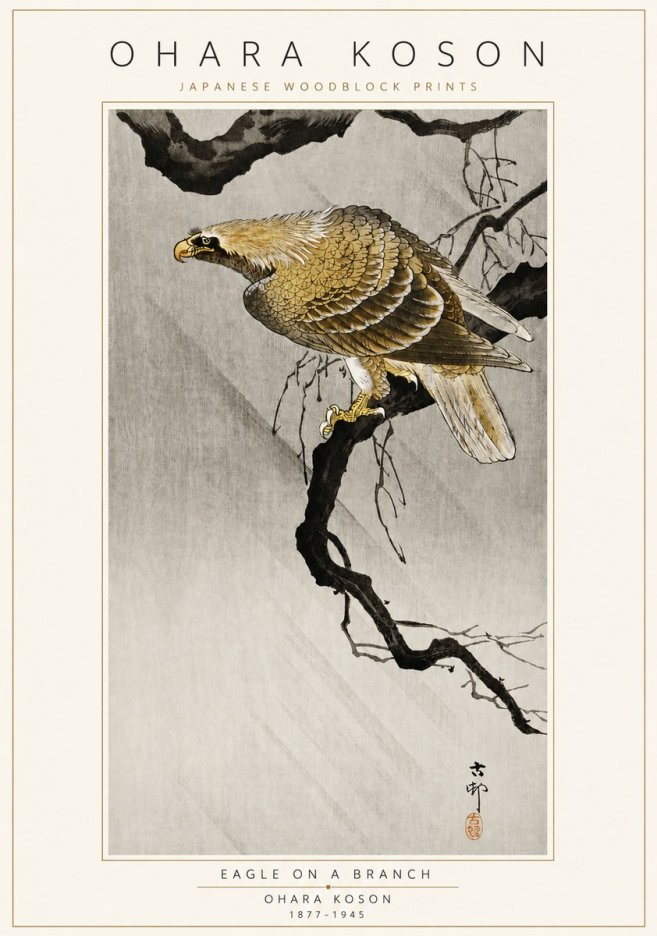 Ohara Koson Eagle on a Branch II No3 - Affiche