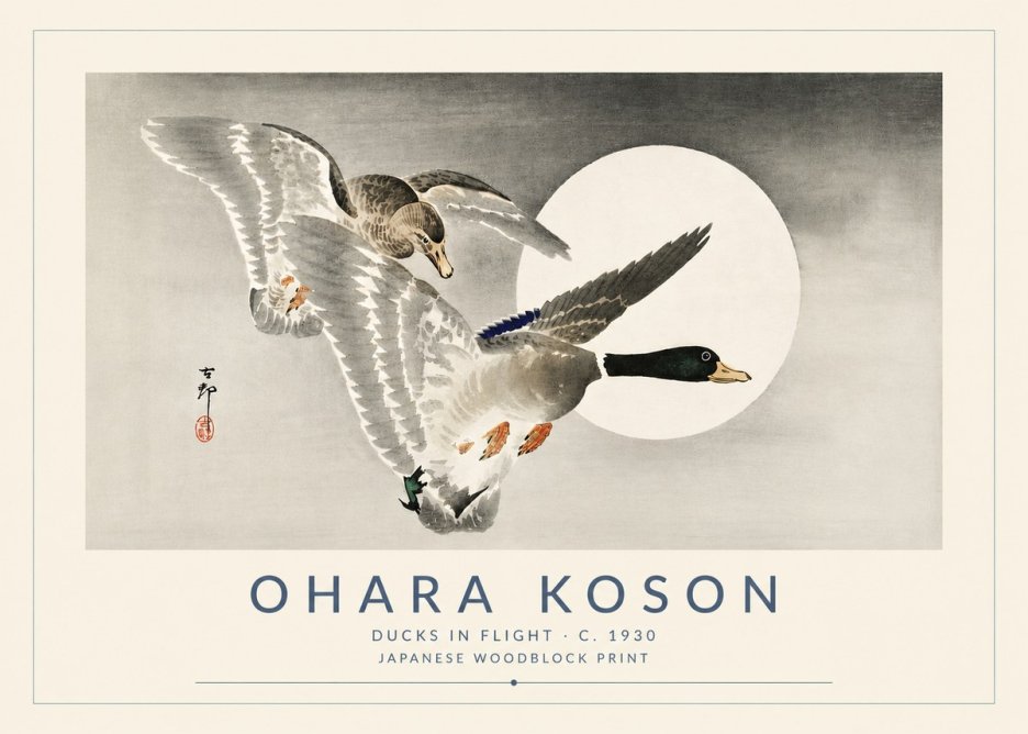Ohara Koson Ducks in Flight No5 - Affiche