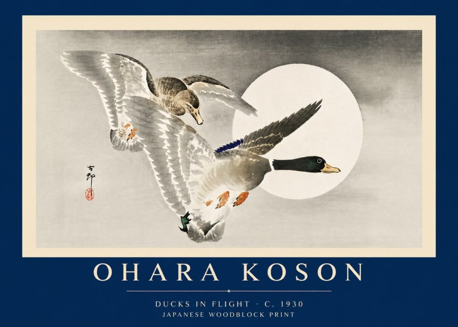 Ohara Koson Ducks in Flight No6 - Affiche