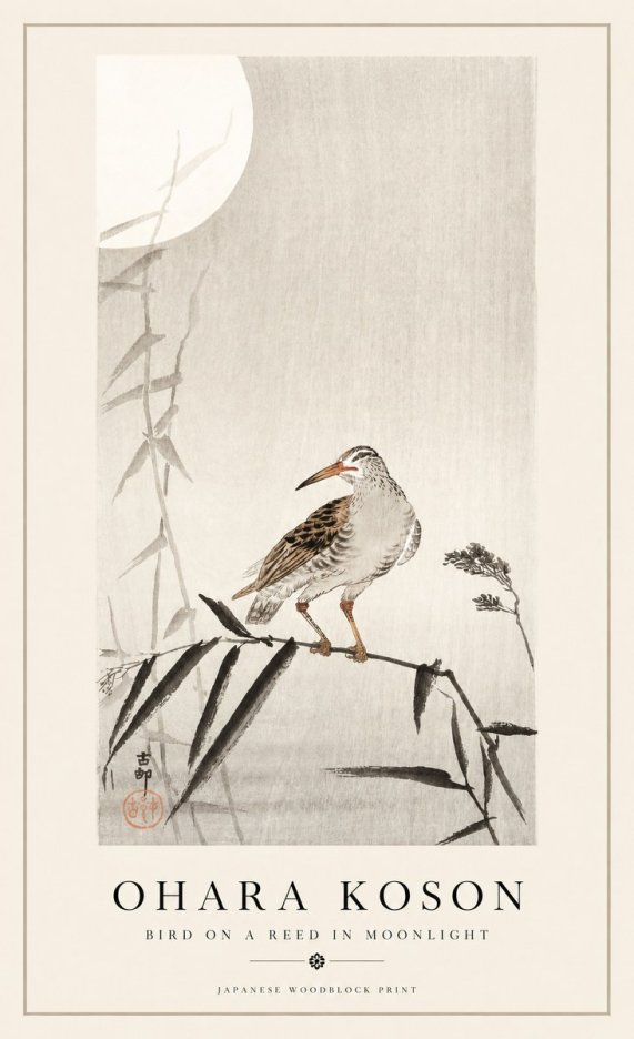 Ohara Koson Bird on a Reed in Moonlight No1 - Affiche