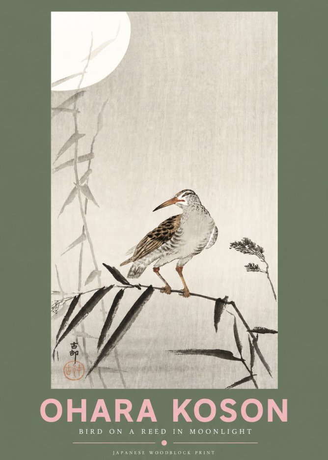 Ohara Koson Bird on a Reed in Moonlight No3 - Affiche