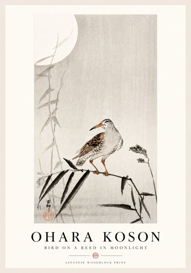 Ohara Koson Bird on a Reed in Moonlight No4 - Affiche