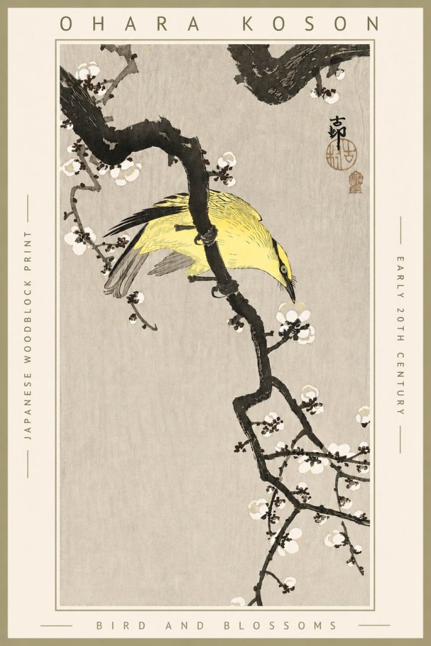 Ohara Koson Bird and Blossoms No4 - Affiche