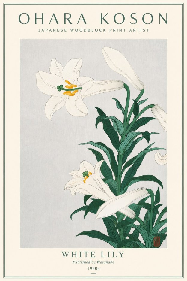Ohara Koson White Lily No3 - Affiche