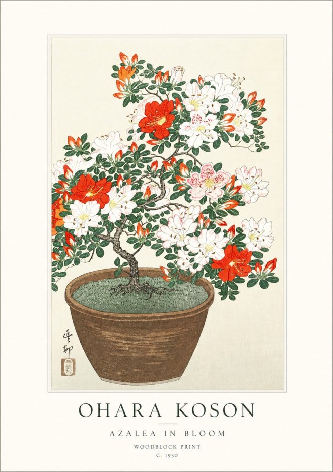 Ohara Koson Azalea in Bloom No1 - Affiche