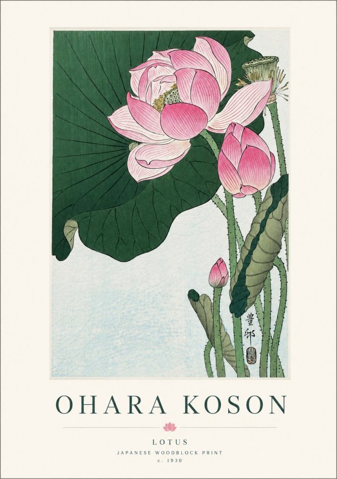 Ohara Koson Lotus II No1 - Affiche
