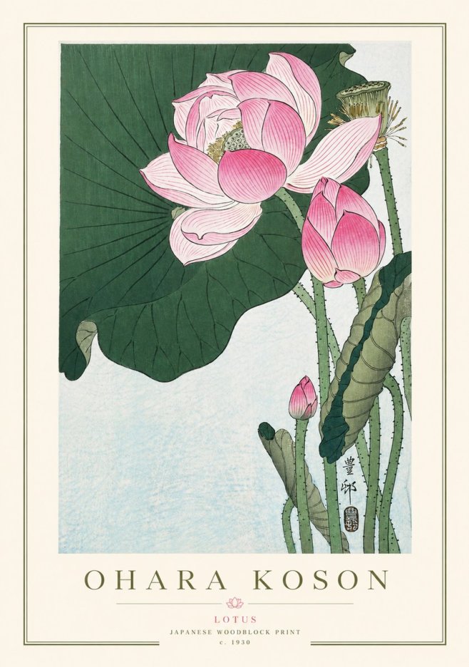 Ohara Koson Lotus II No3 - Affiche