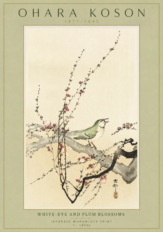 Ohara Koson White-eye and Plum Blossoms No4 - Affiche