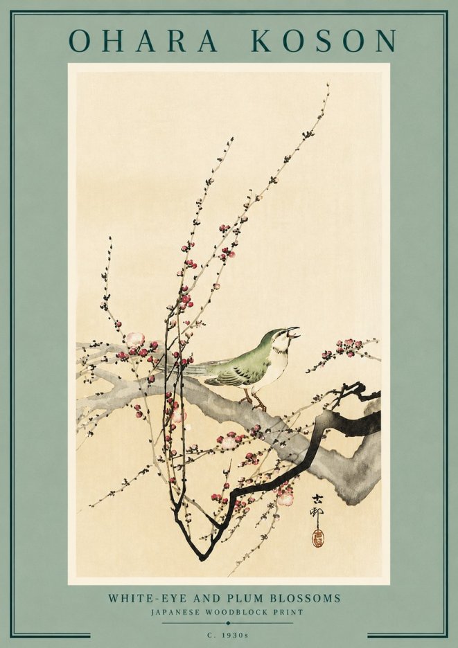 Ohara Koson White-eye and Plum Blossoms No6 - Affiche