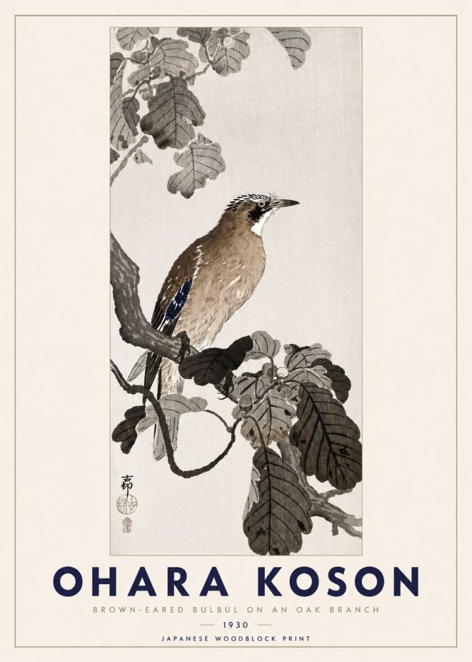 Ohara Koson Brown-eared Bulbul on an Oak Branch No3 - Affiche