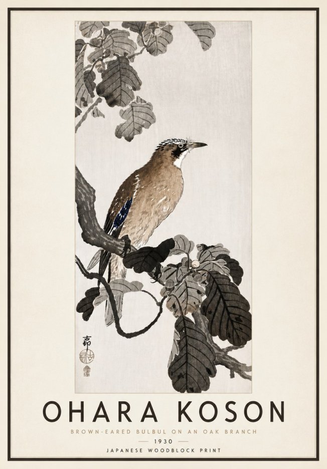 Ohara Koson Brown-eared Bulbul on an Oak Branch No4 - Affiche
