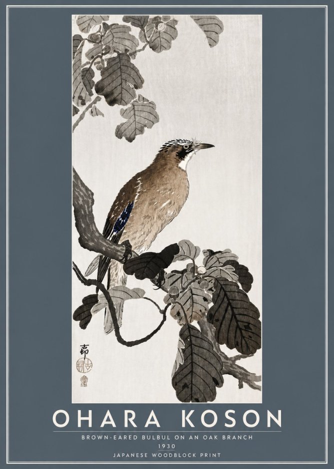 Ohara Koson Brown-eared Bulbul on an Oak Branch No5 - Affiche