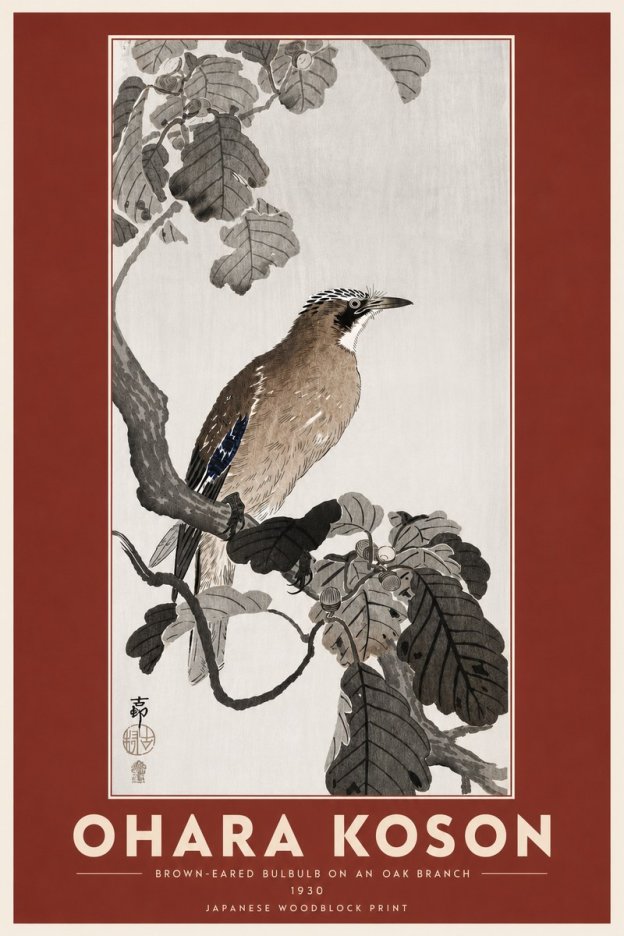 Ohara Koson Brown-eared Bulbul on an Oak Branch No6 - Affiche