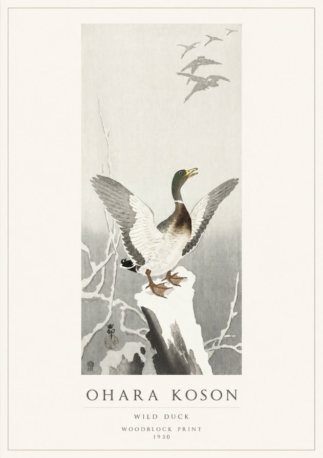 Ohara Koson Wild Duck No1 - Affiche