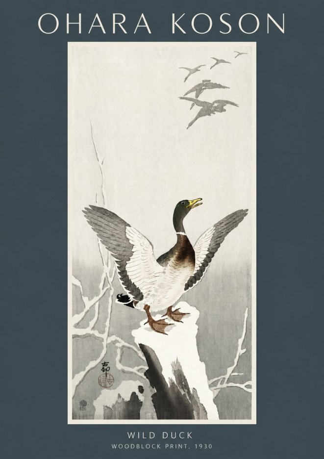 Ohara Koson Wild Duck No2 - Affiche