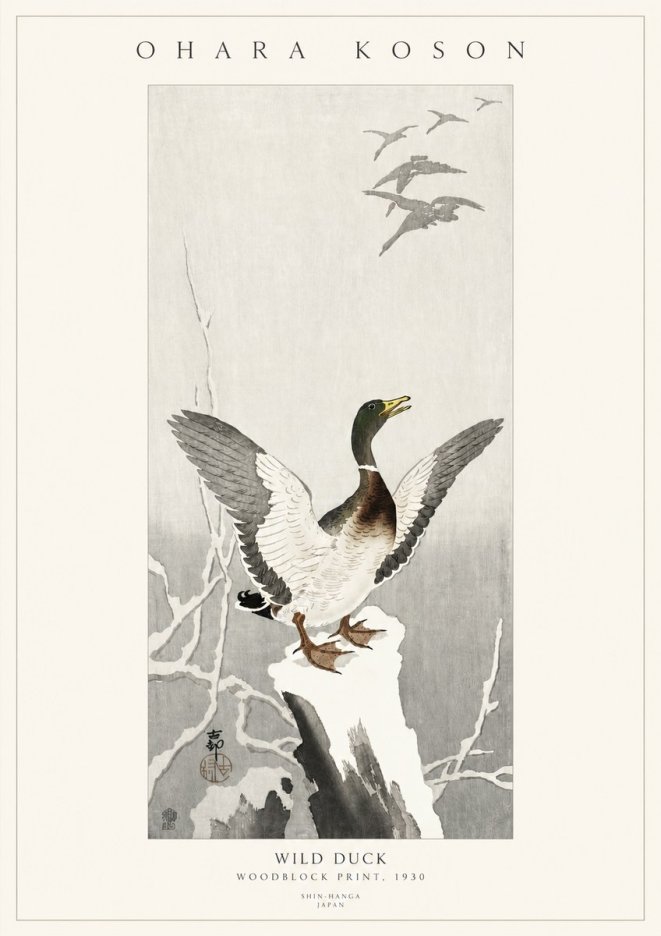 Ohara Koson Wild Duck No3 - Affiche
