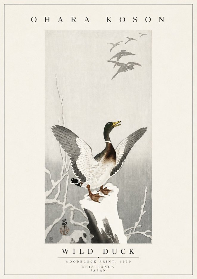 Ohara Koson Wild Duck No5 - Affiche