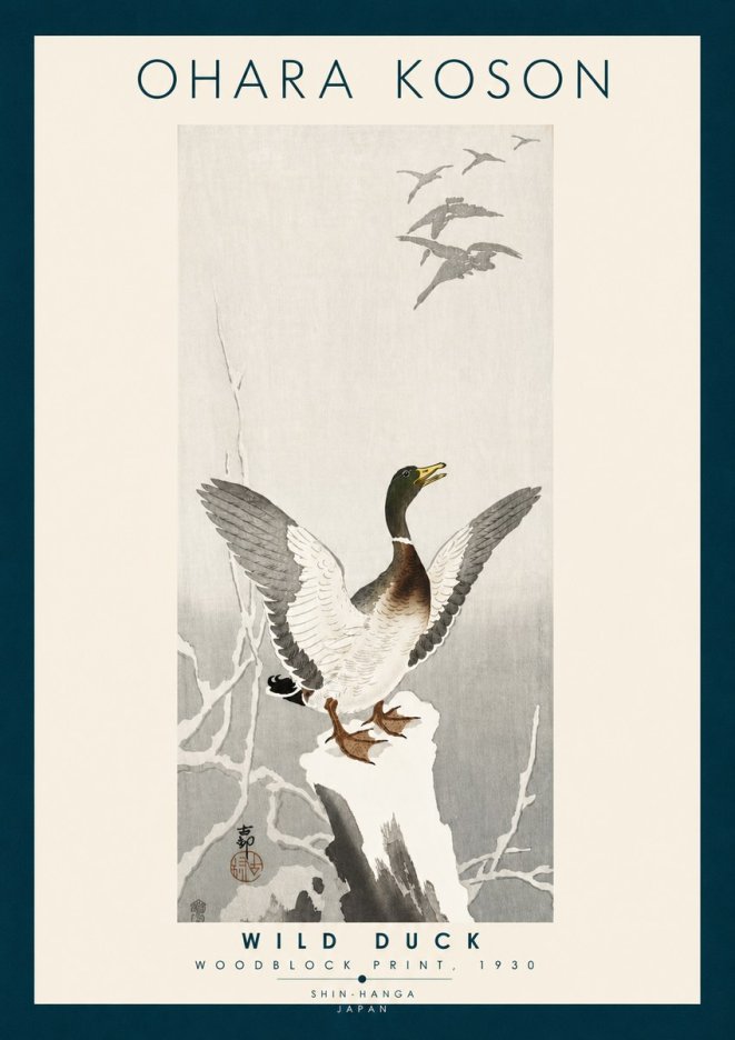 Ohara Koson Wild Duck No6 - Affiche
