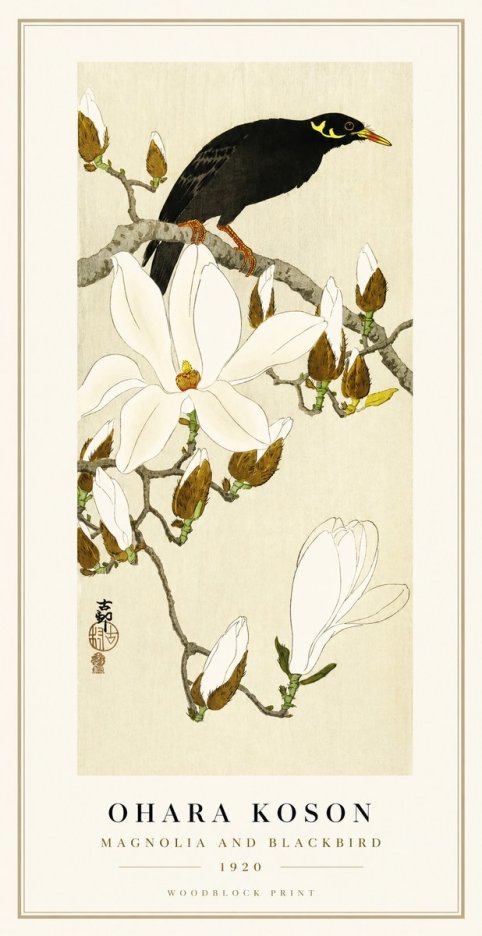 Ohara Koson Magnolia and Blackbird No1 - Affiche