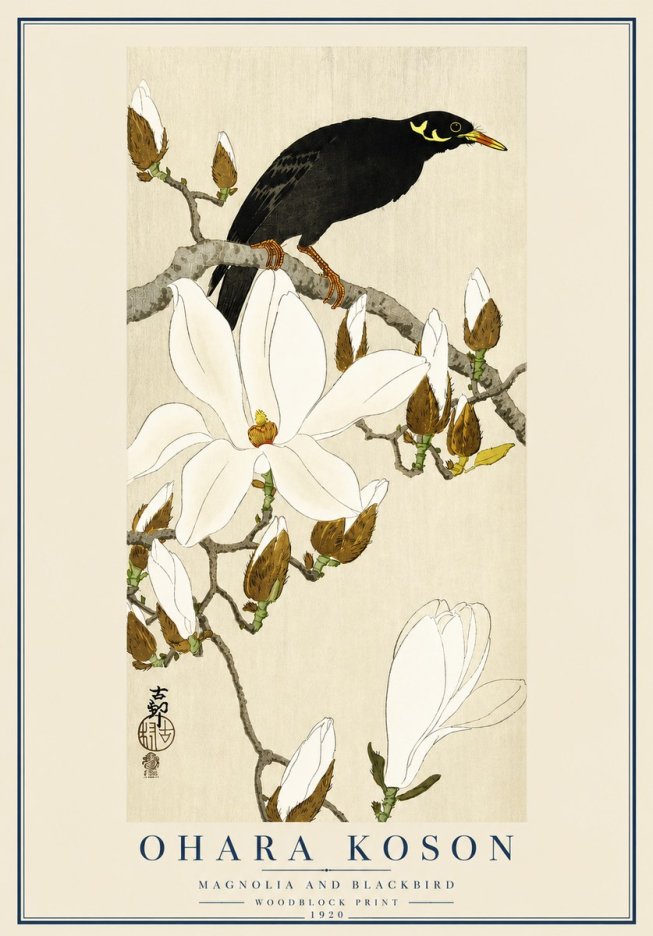 Ohara Koson Magnolia and Blackbird No3 - Affiche
