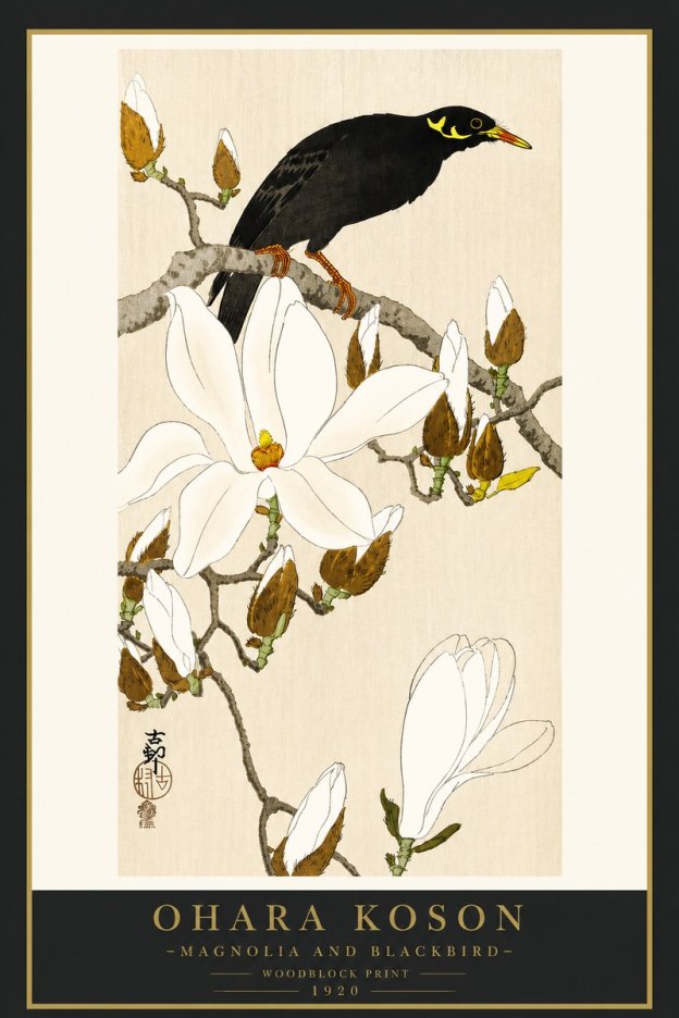 Ohara Koson Magnolia and Blackbird No4 - Affiche