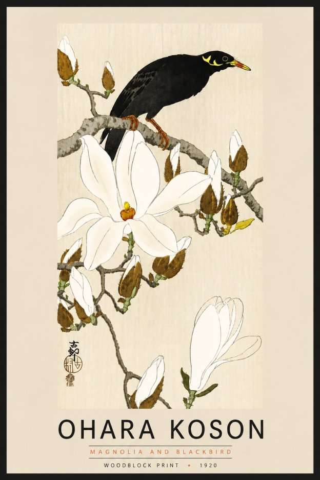 Ohara Koson Magnolia and Blackbird No6 - Affiche