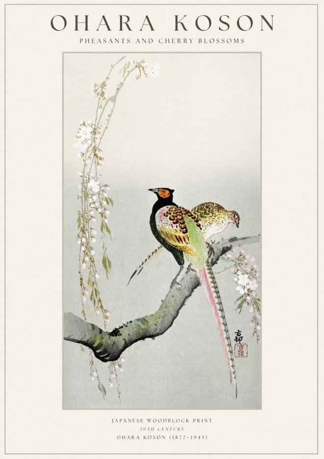 Ohara Koson Pheasants and Cherry Blossoms II No1 - Affiche
