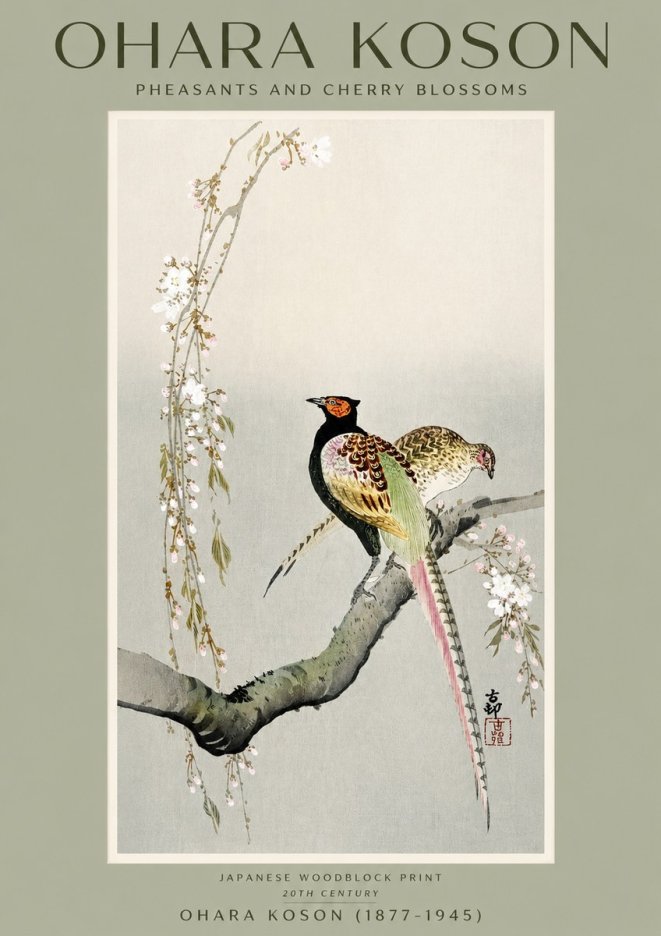 Ohara Koson Pheasants and Cherry Blossoms II No2 - Affiche