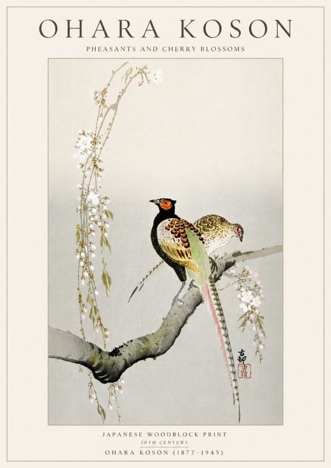 Ohara Koson Pheasants and Cherry Blossoms II No5 - Affiche
