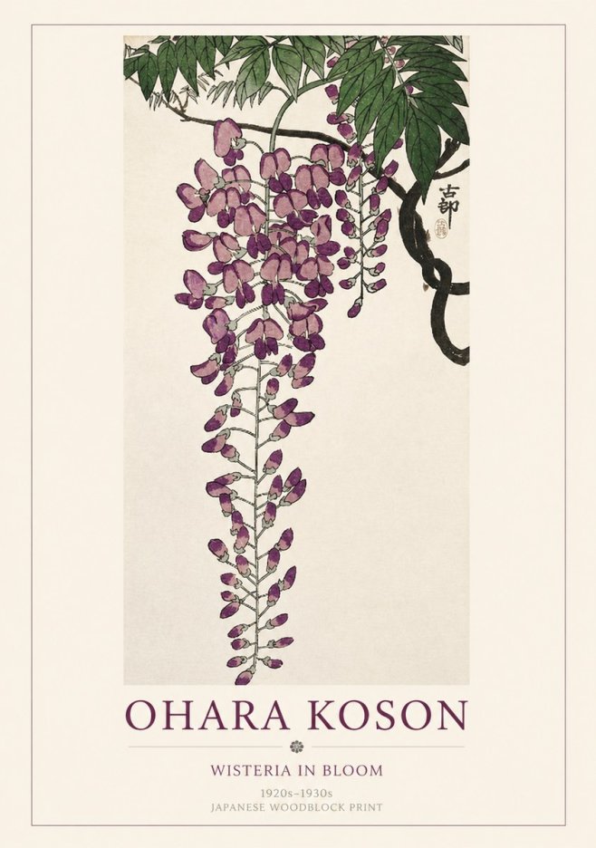 Ohara Koson Wisteria in Bloom No1 - Affiche
