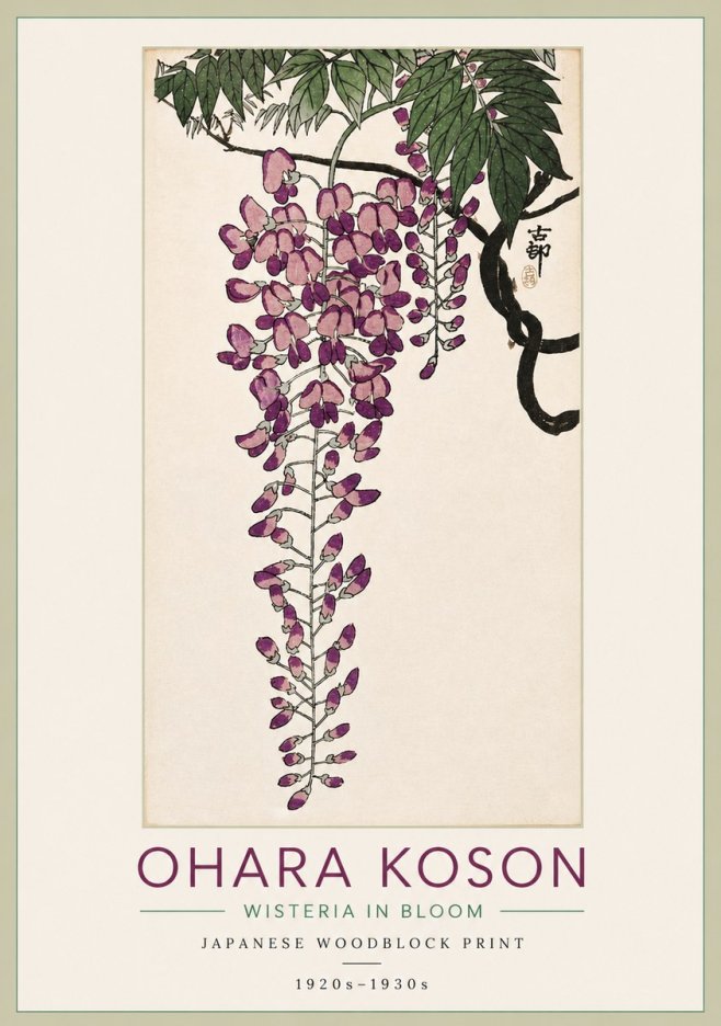 Ohara Koson Wisteria in Bloom No3 - Affiche