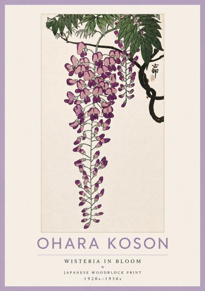 Ohara Koson Wisteria in Bloom No4 - Affiche