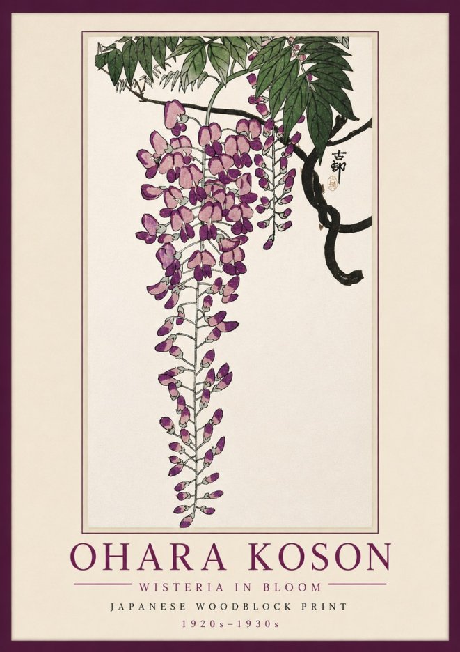 Ohara Koson Wisteria in Bloom No5 - Affiche