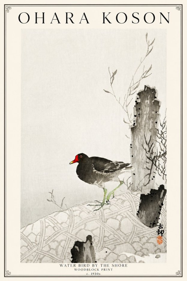 Ohara Koson Water Bird by the Shore No3 - Affiche